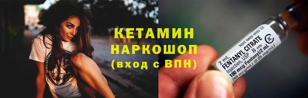 гидра Аркадак