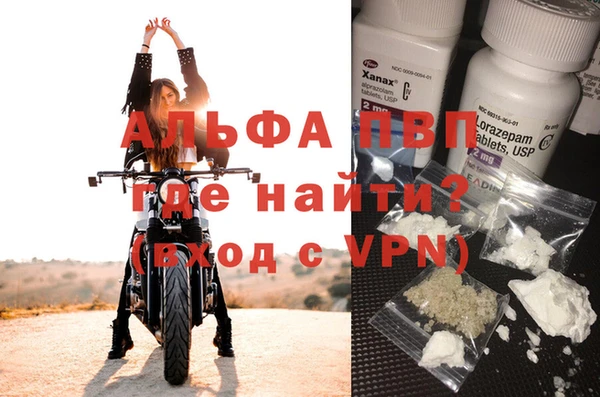 дживик Нефтекумск