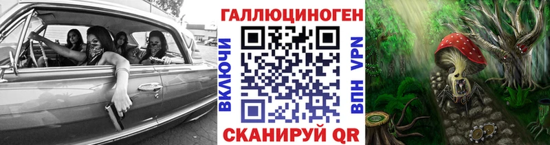 Галлюциногенные грибы Psilocybe  мега как войти  Палласовка  что такое наркотик 